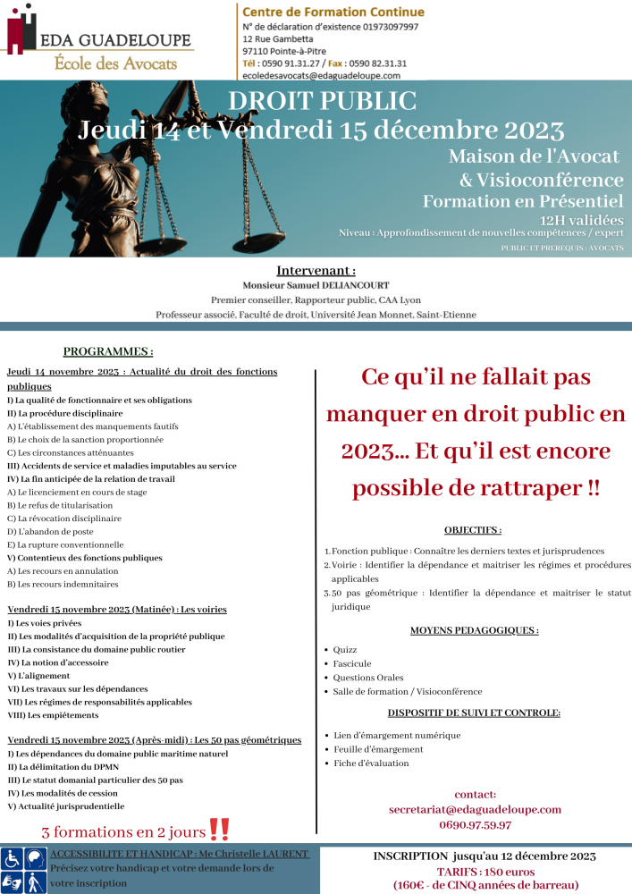 DROIT PUBLIC - "Ce qu'il ne fallait pas manquer en droit public en 2023… Et qu'il est encore possible de rattraper" :