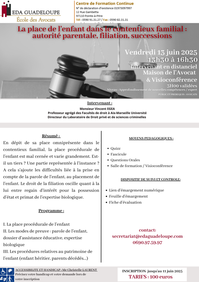 La place de l'enfant dans le contentieux familial : autorité parentale, filiation, successions